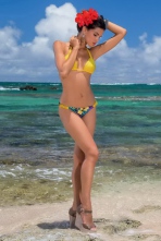 Raica Oliveira Posing On The Beach 11