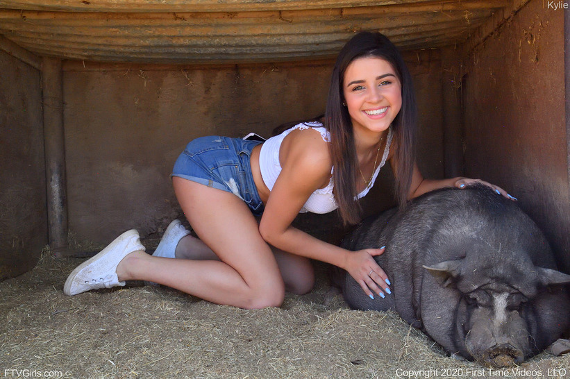 The Animal Farm 11