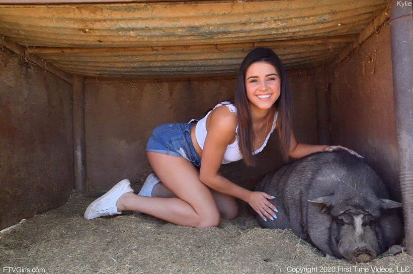 The Animal Farm 12
