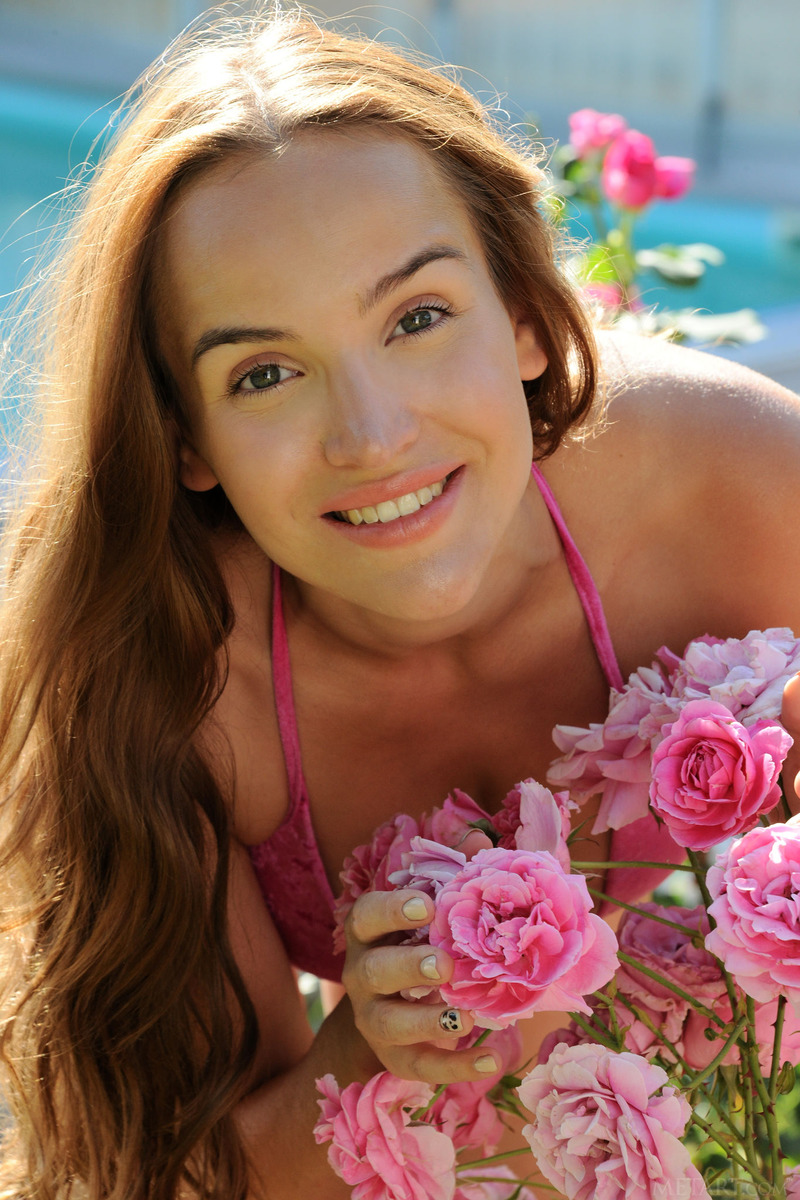 Roses 05