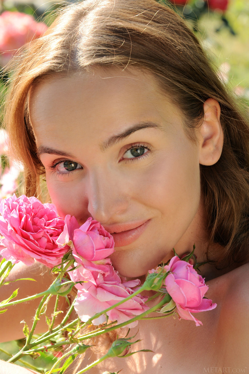 Roses 11